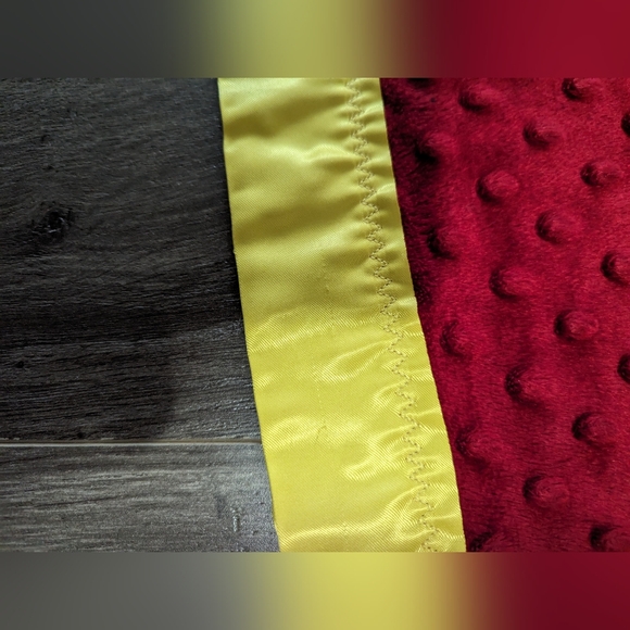 Minion Mania cotton and velvety soft blanket. Satin trim. Possibly hand made. - Picture 4 of 5